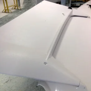 49er & FX Wing 2009 onward