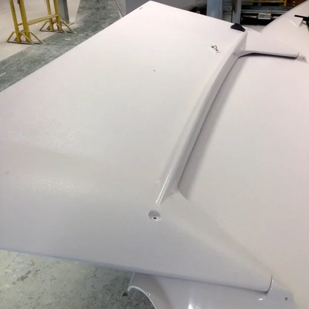 49er &amp; FX Wing 2009 onward